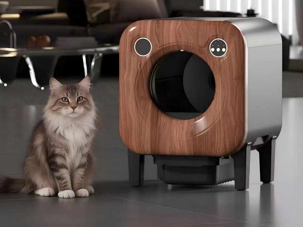Intelligentes, selbstreinigendes Katzenklo | Automatische Geruchsentfernung mit Kamera