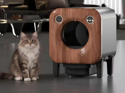 Selbstreinigende Katzentoilette | Automatisch mit Kamera & Geruchsentfernung