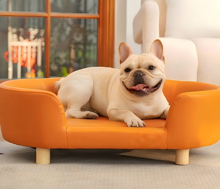 Luxuriöses Hundesofa | Hundesofa aus PU-Leder mit Holzbeinen