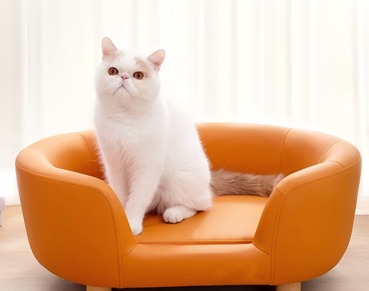 Luxuriöses Hundesofa | Hundesofa aus PU-Leder mit Holzbeinen
