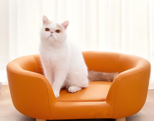 Luxuriöses Hundesofa | Hundesofa aus PU-Leder mit Holzbeinen